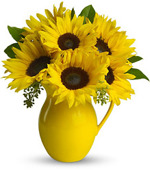 Sunny Day Pitcher of Sunflowers from Parkway Florist in Pittsburgh PA